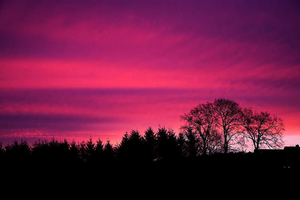 Wahnsinn dieser Morgen