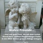 Wahre Freunde