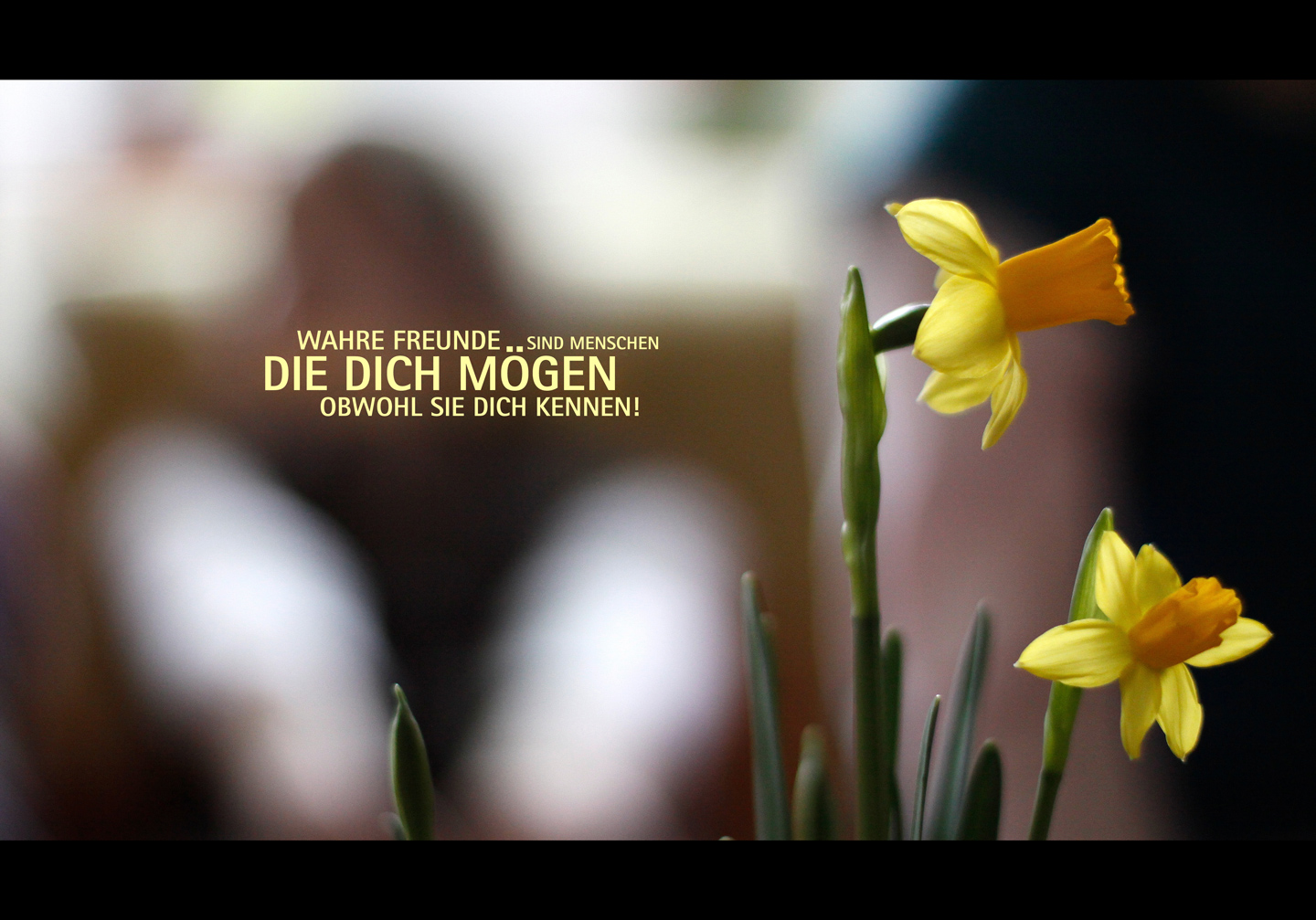 Wahre Freunde Foto Bild Karten Und Kalender Spezial Bilder Auf Fotocommunity