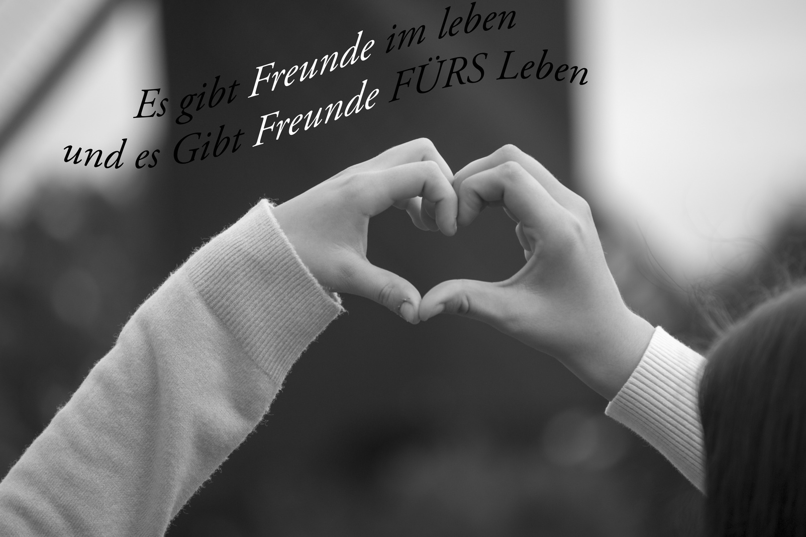 Wahre Freunde