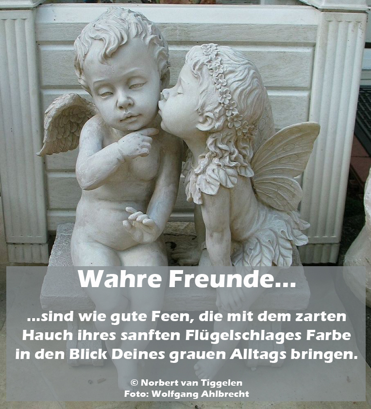 wahre-freunde