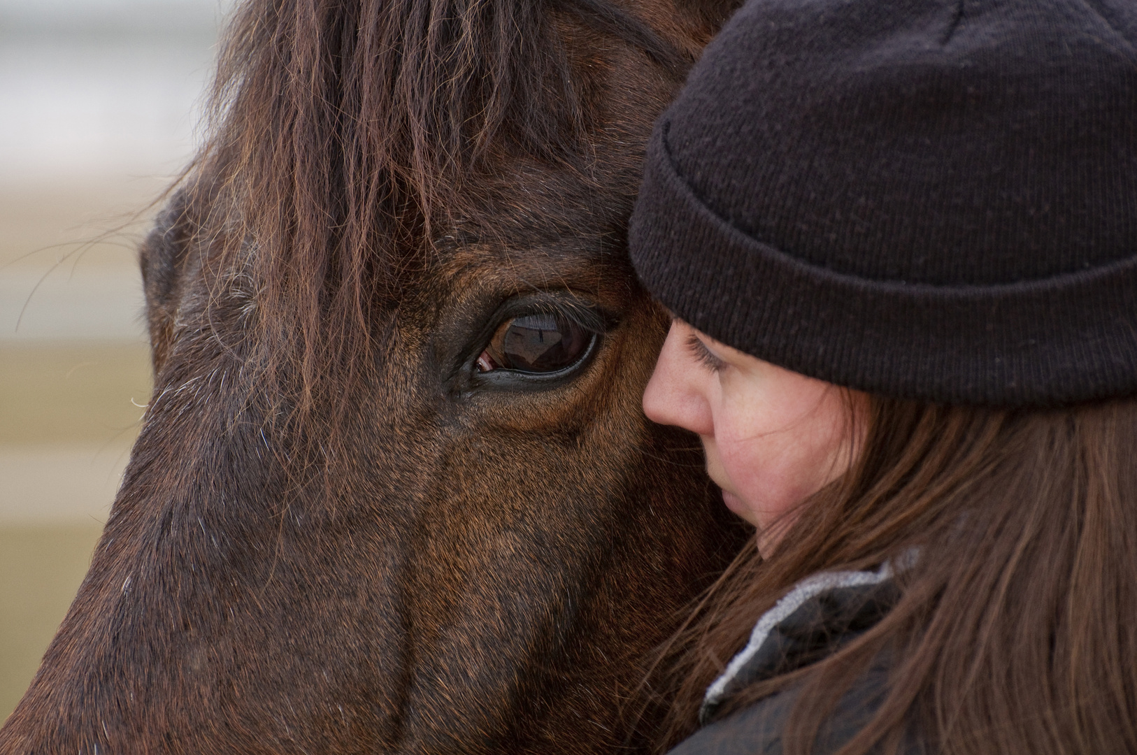 Wahre Freundschaft