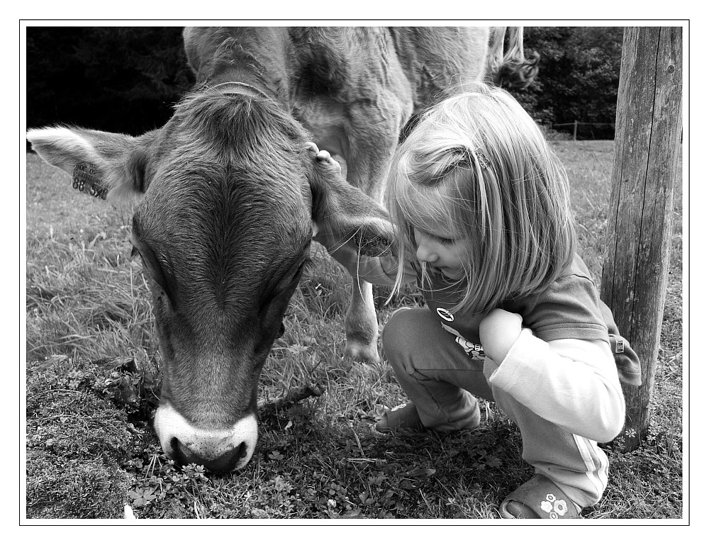 WAHRE FREUNDSCHAFT