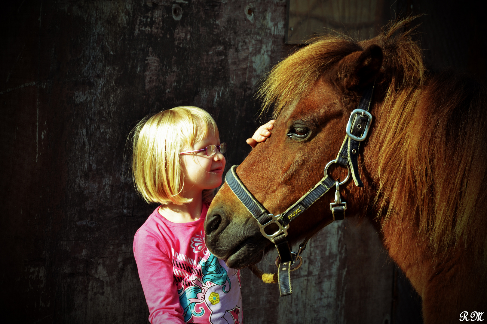 Wahre Freundschaft