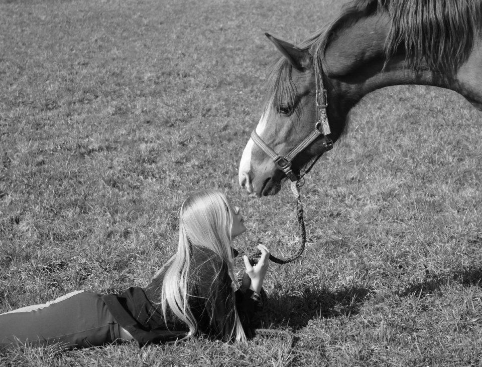 Freundschaft Zwischen Pferd Und Mensch
