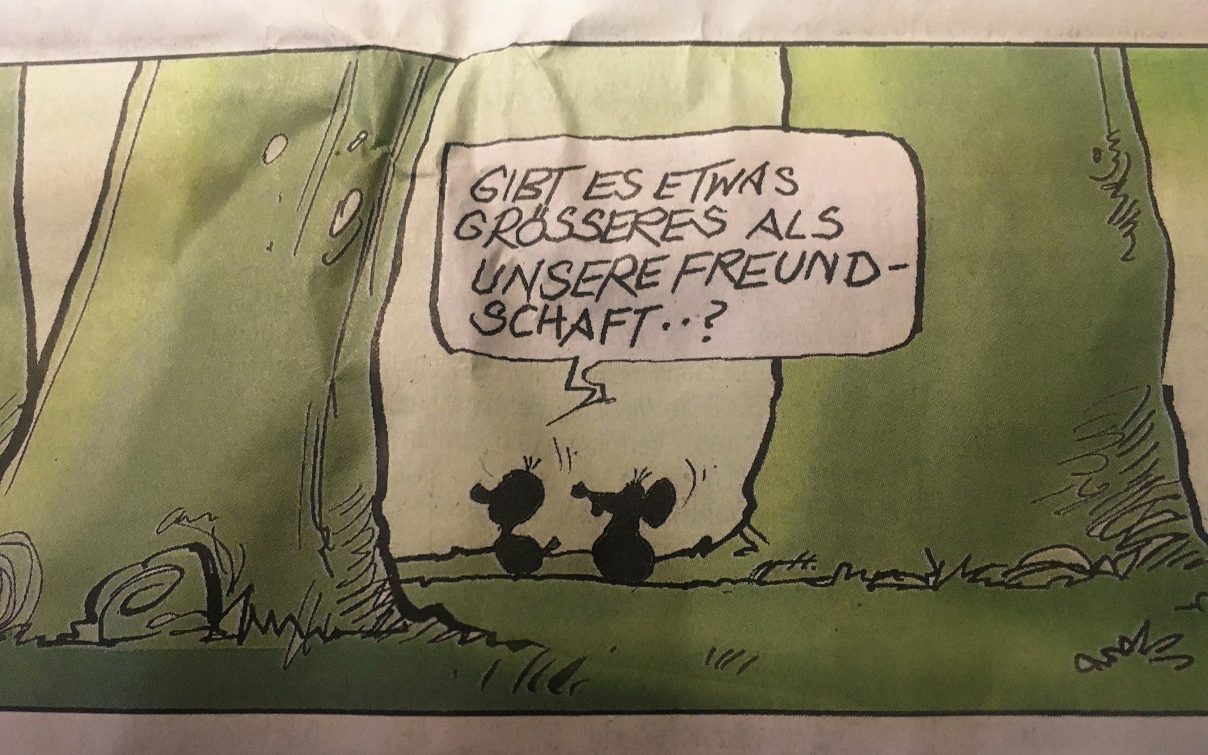 wahre Freundschaft