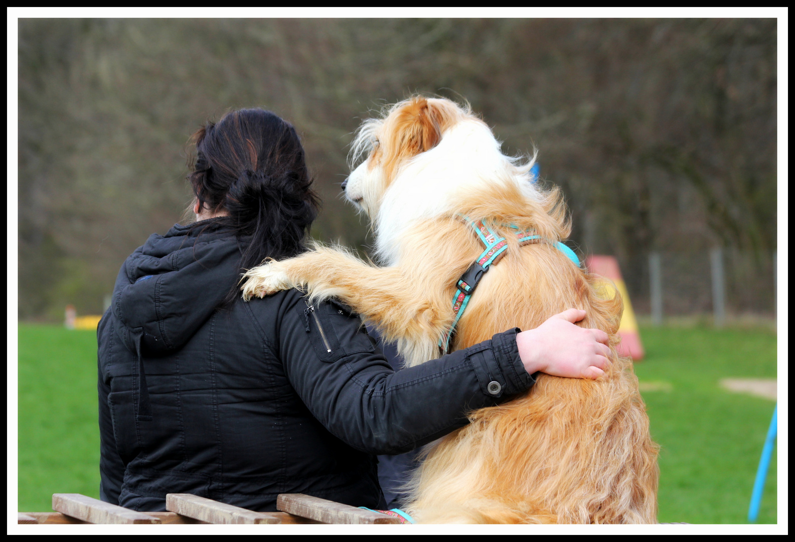 Wahre Freundschaft!