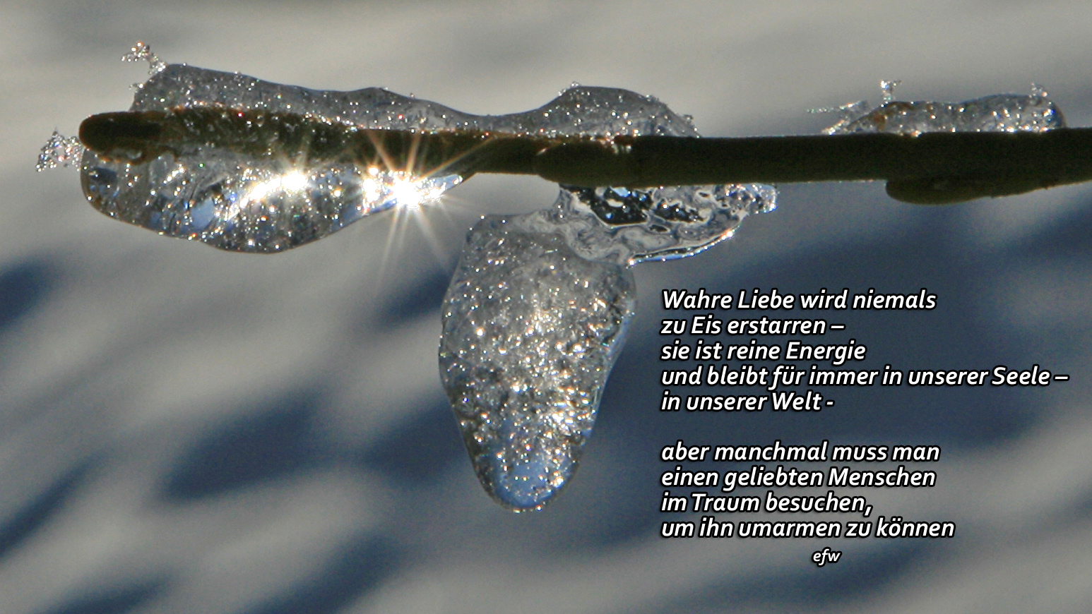 Wahre Liebe