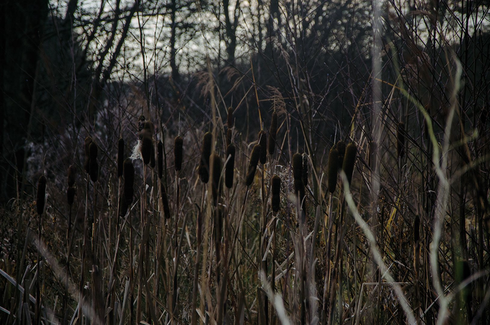 Wahre Natur beginnt dort, wo kein Mensch sein Haus hinstellt und seine Hände bei sich behält.....