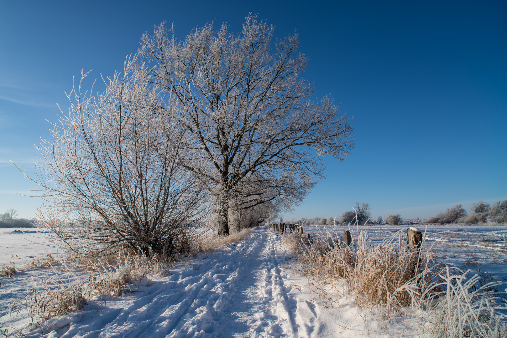 Wahrscheinlich eins der letzten Schneefotos dieses Winters