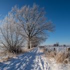 Wahrscheinlich eins der letzten Schneefotos dieses Winters