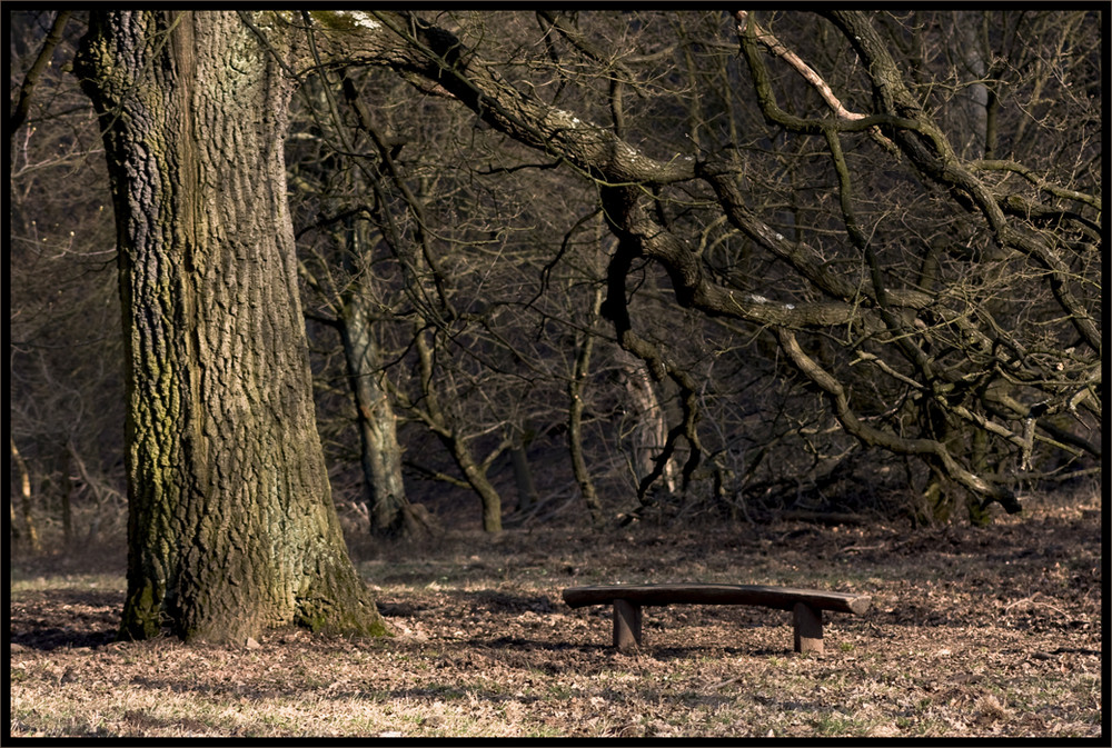 .. wahrscheinlich unter einem Baum