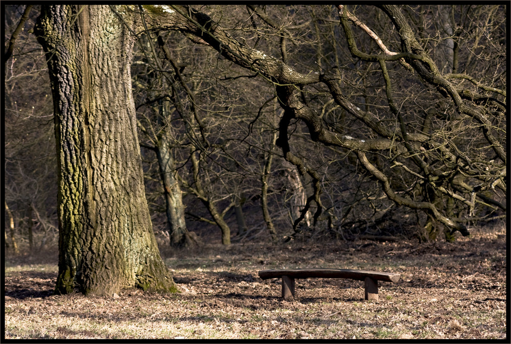 ... wahrscheinlich unter einem Baum