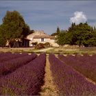 Provence