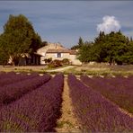 Provence