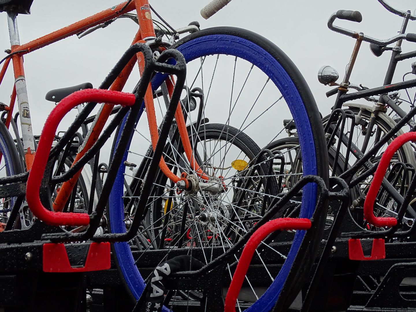 Wahrzeichen Fahrrad, Tulpe oder Gouda?