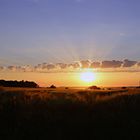 Wahrzeichen von Laboe mit Blick über Getreidefeld