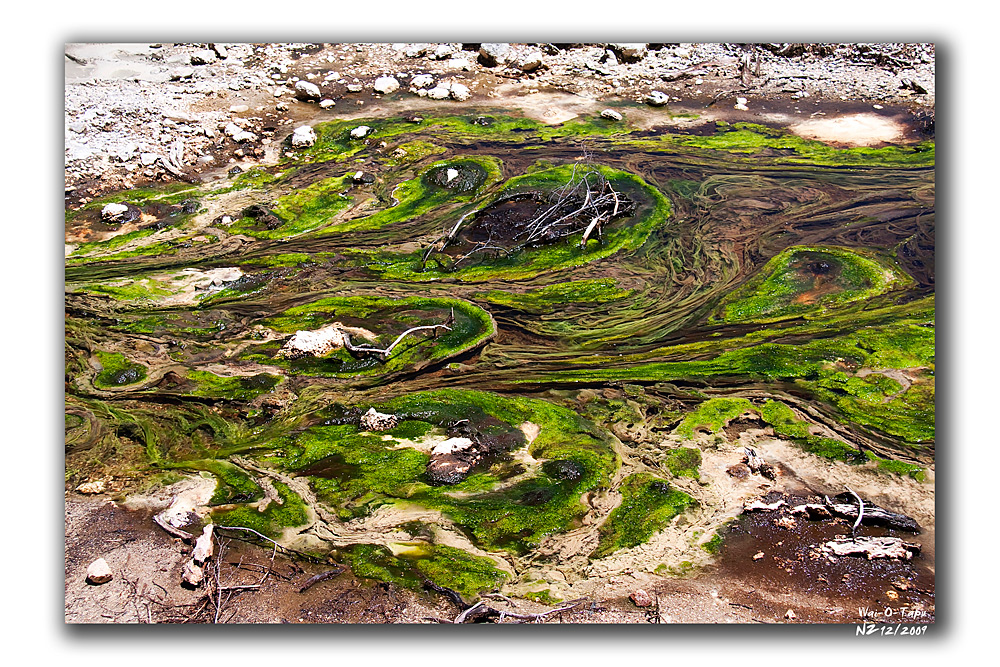 Wai-O-Tapu (Algenkunst)