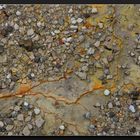 Wai-O-Tapu, Boden nicht weit vom Champagne Pool