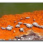 Wai-O-Tapu (Champagne Pool 2)