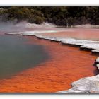 Wai-O-Tapu (Champagne Pool 3)