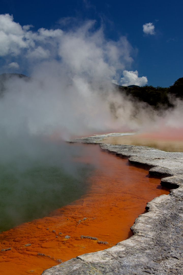 Wai-O-Tapu - Champagnepool - Rotorua