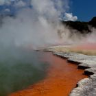 Wai-O-Tapu - Champagnepool - Rotorua