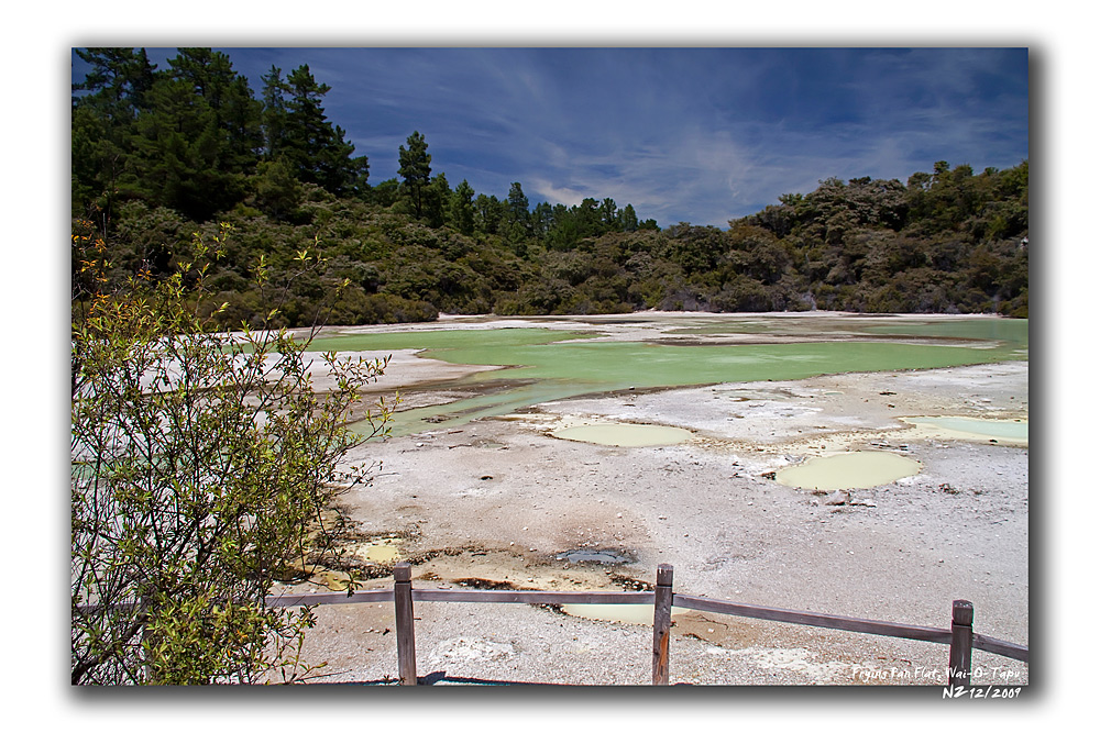 Wai-O-Tapu (Frying Pan Flat 1)