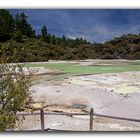 Wai-O-Tapu (Frying Pan Flat 1)