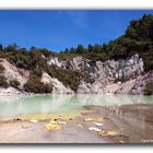 Wai-O-Tapu (Frying Pan Flat 2)