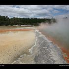 Wai-O-Tapu I, nr. Rotorua, North Island / NZ