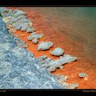 Wai-O-Tapu II, nr. Rotorua, North Island / NZ