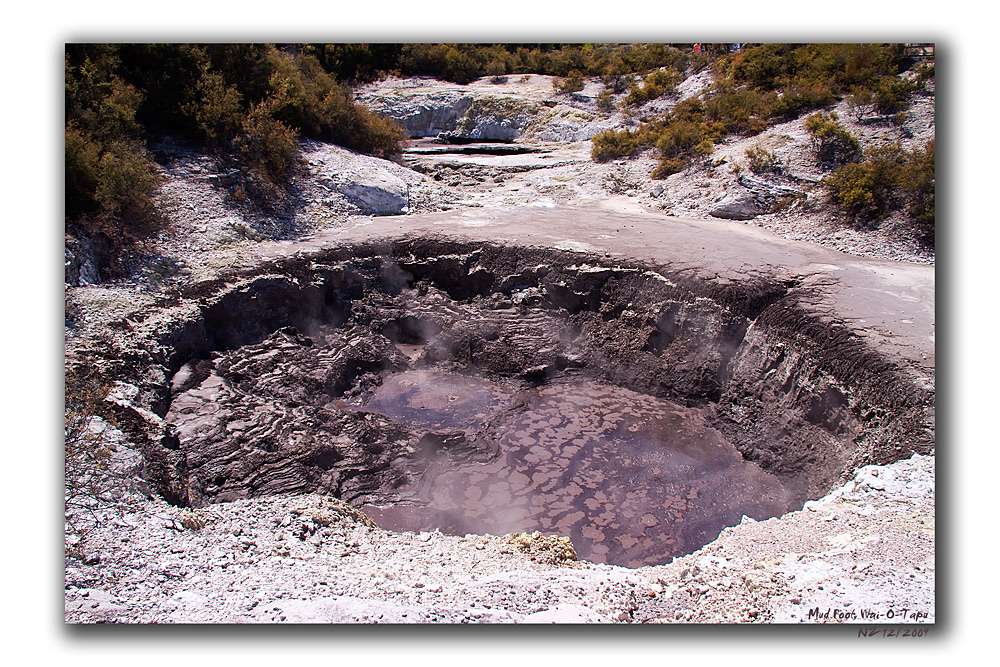 Wai-O-Tapu (Mud Pool)