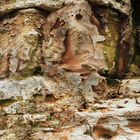 Wai-o-Tapu Rock Colours