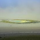 Wai-O-Tapu Thermal Pool Nova Zelândia