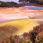 Wai O Tapu Thermal Wonderland