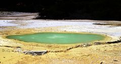 Wai-o- tapu...Chemiebaukasten der Natur pur  A DSC06047