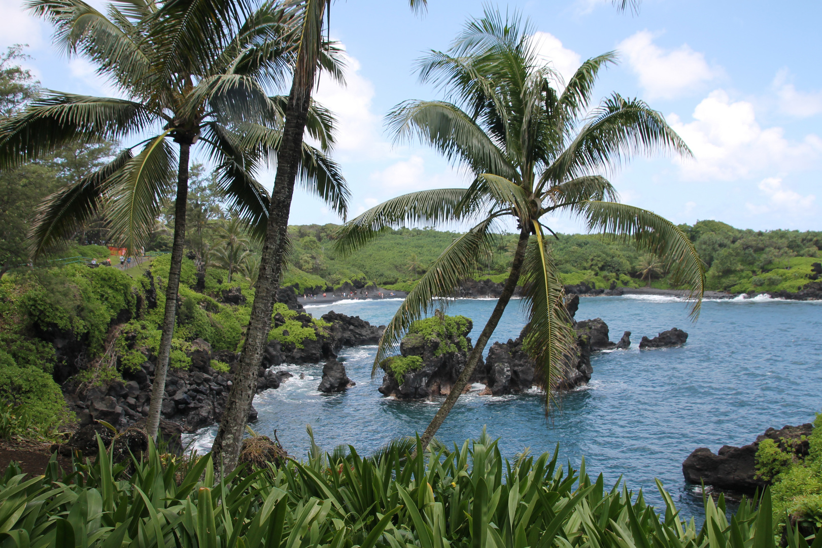 Waianapanapa State Park, Maui