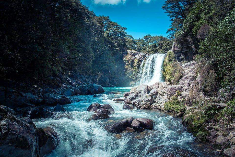 Waiau falls