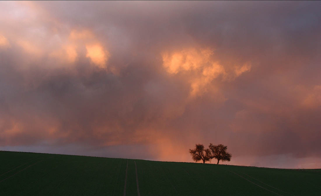 Waibstädter Abendlicht