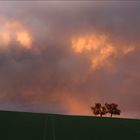 Waibstädter Abendlicht