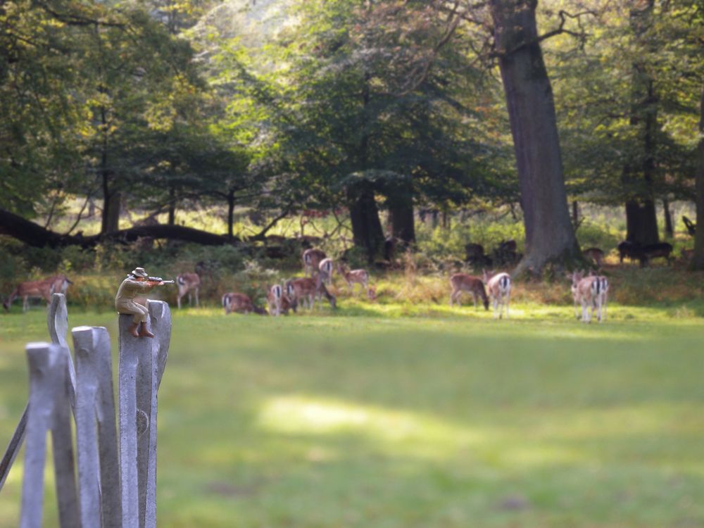 Waidmannsheil! (Tiergarten, Kirchrode)