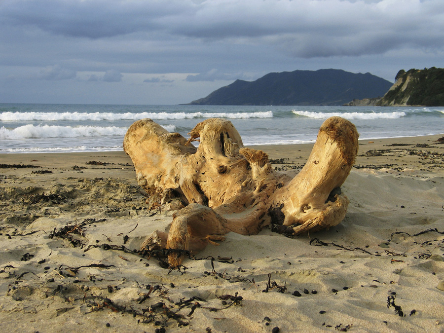 Waihau Bay beach