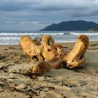 Waihau Bay beach