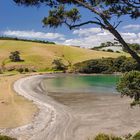 Waiheke Island