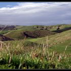 Waikato Hill Country