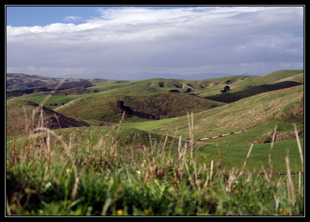 Waikato Hill Country