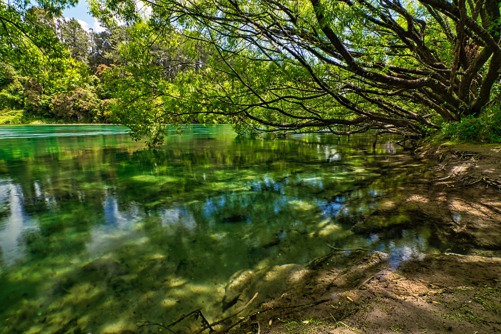 Waikato - River