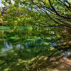 Waikato - River