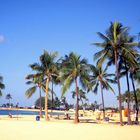 Waikiki Beach